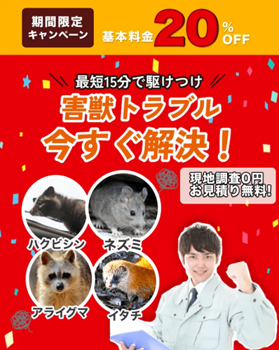 街角害虫駆除相談所